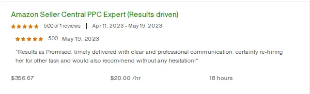 Lisa M. Upwork review